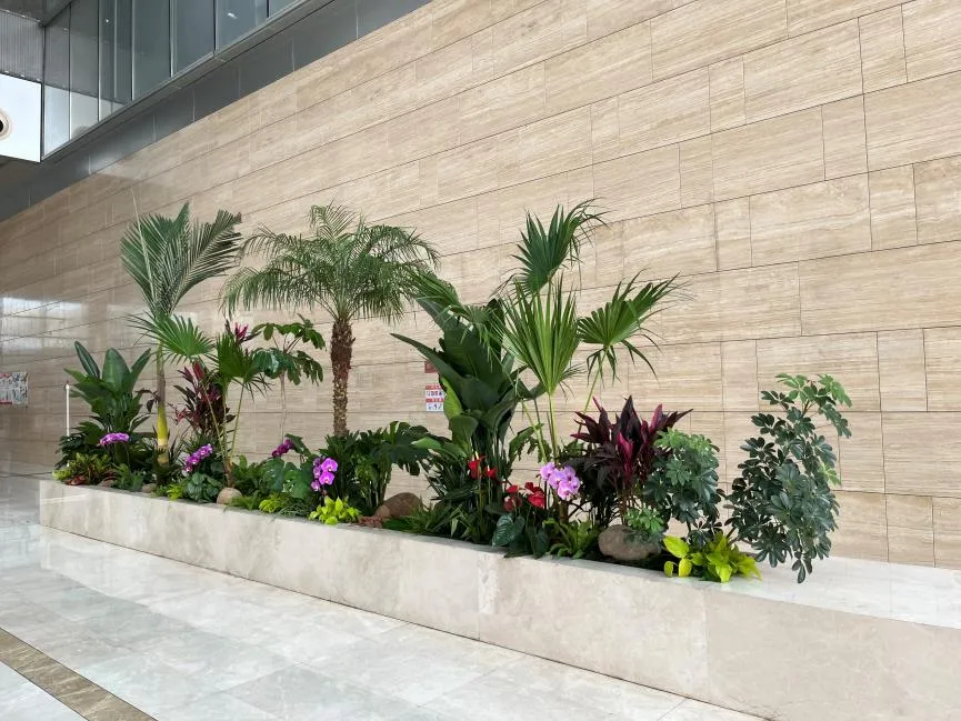 宁波杭州湾绿化修剪，实惠之选不容错过！